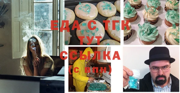 сатива Няндома